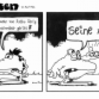 Robbys Augen