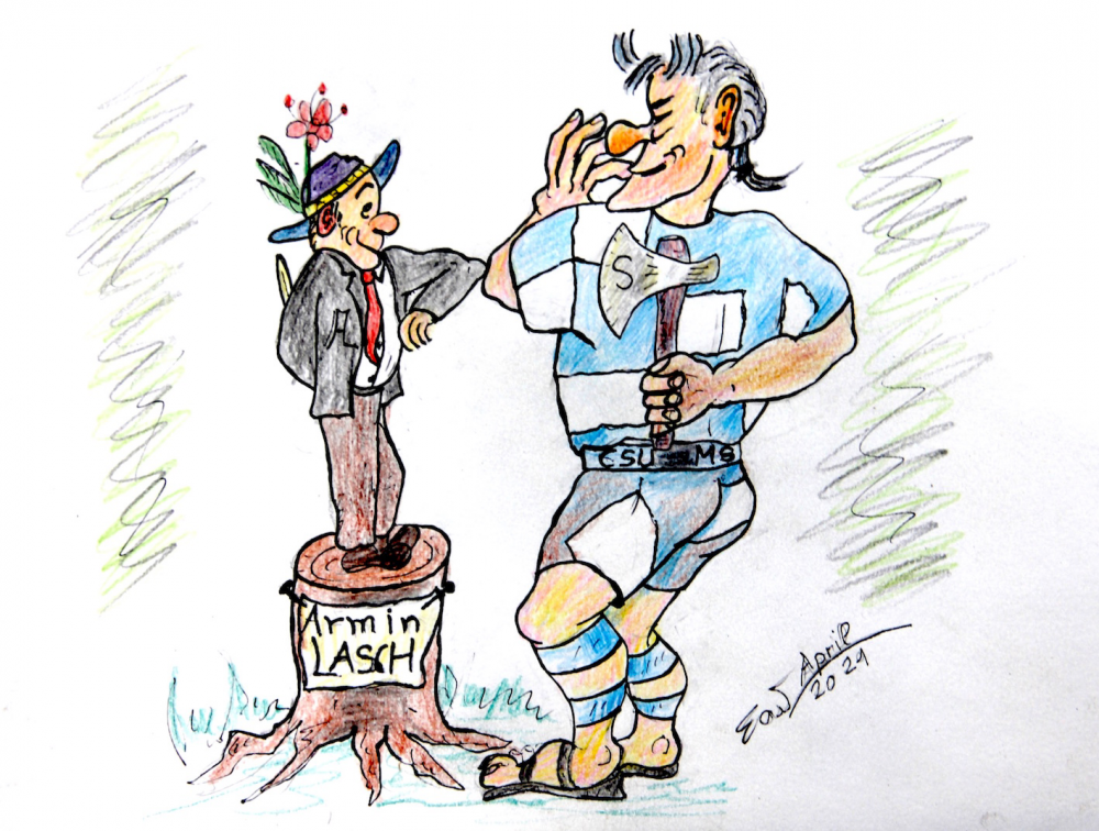 Cartoon: die Wahl 2 1