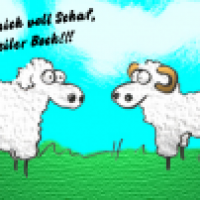 Schafrodisiert