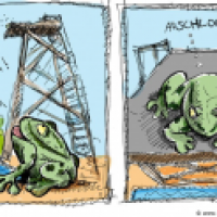 Frosch aufem 10-Meter-Brett