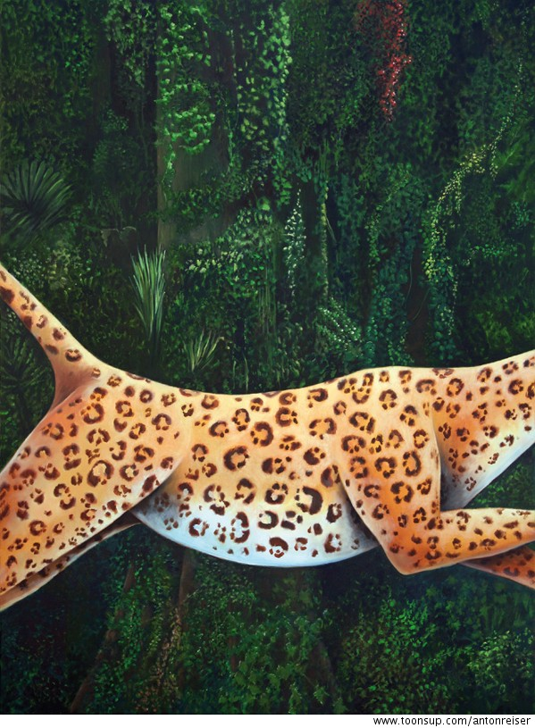 Illustration: Regenwald 1-3 2