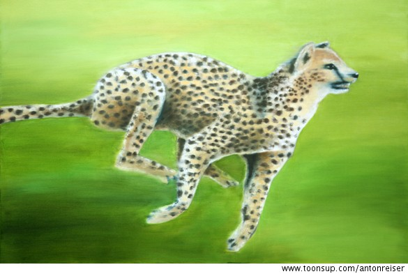 Illustration: Gepard 1
