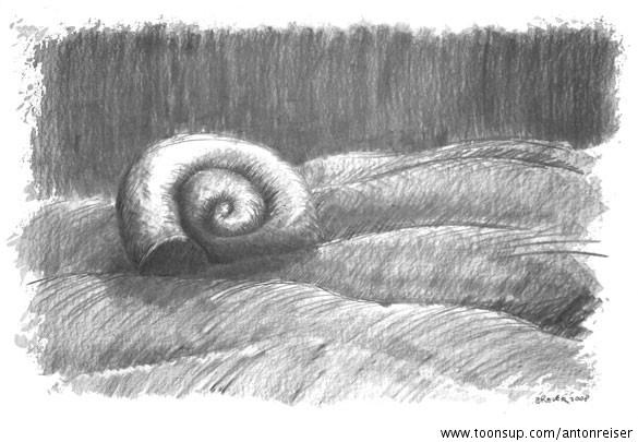 Illustration: Schneckenhaus 1