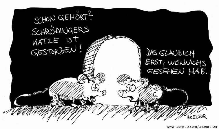 Cartoon: Schrödingers Katze 1