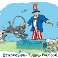 Begossener Pudel