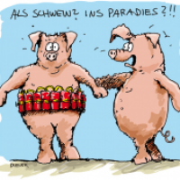 Schwein im Paradies?