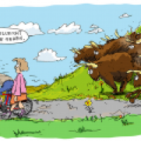 Zur Seite gehen.