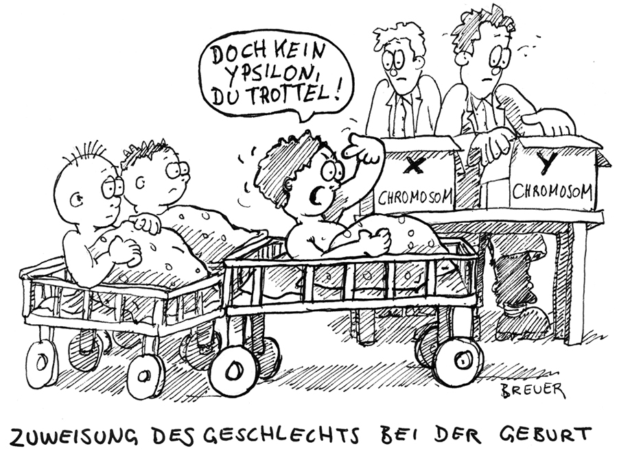 Cartoon: Geschlecht 1