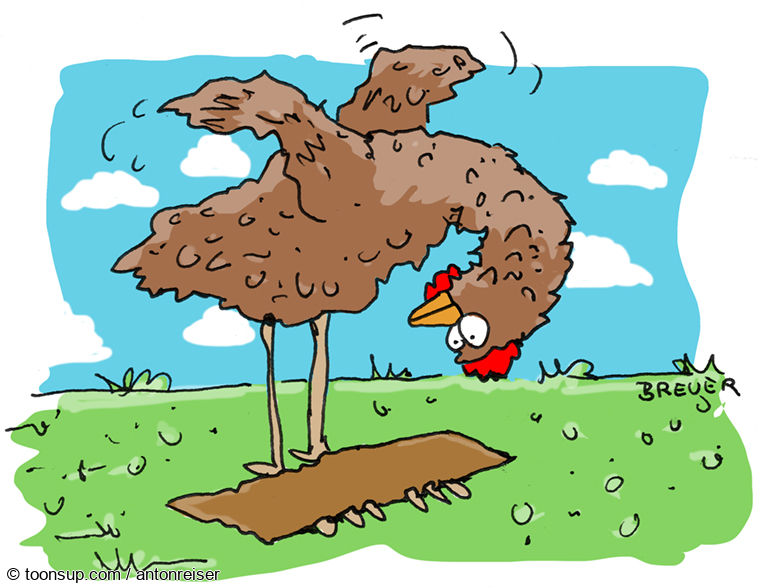Cartoon: Huhn aus Bodenhaftung 1