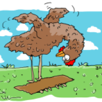 Huhn aus Bodenhaftung