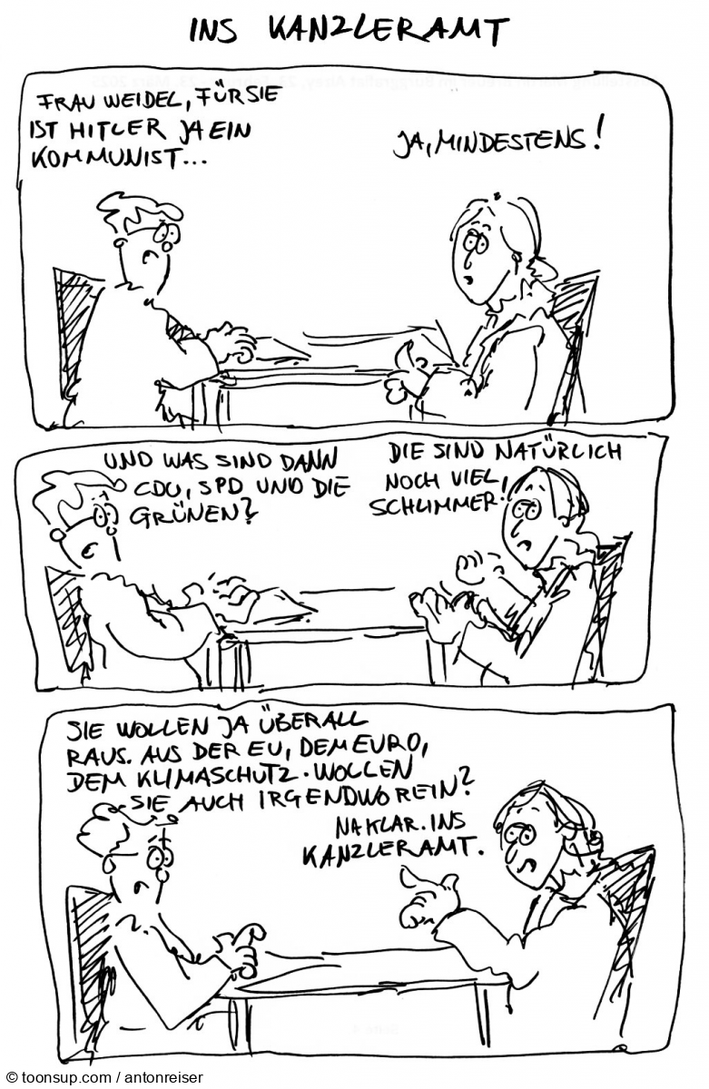 Comic: Alice Weidel 1