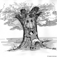 Illustration: Titelbld 'Wie gesund b ich schon - wie krank bin ich noch?' 12