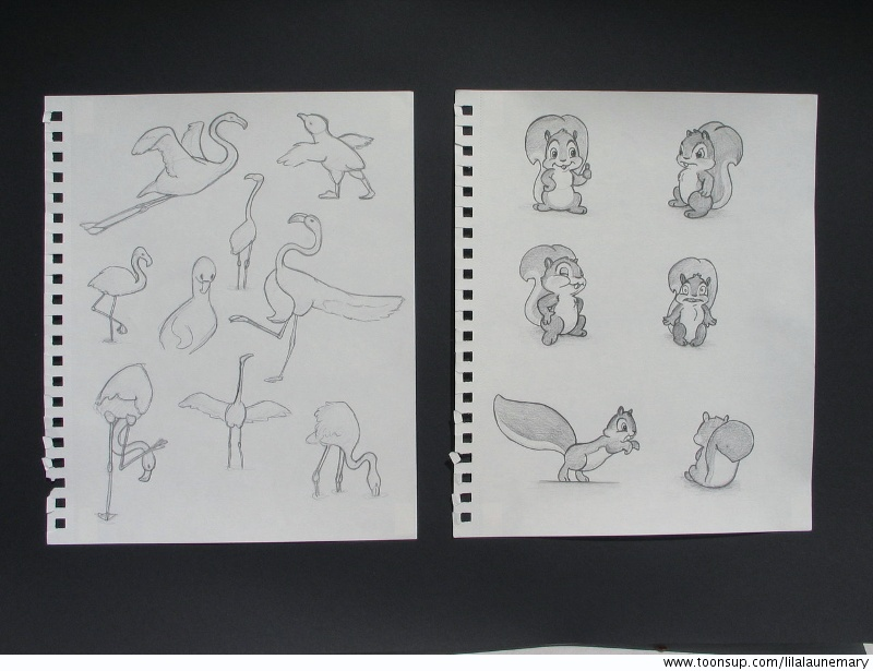 Concept Art / Character Design: Skizzen Flamingos und Eichhörnchen 1