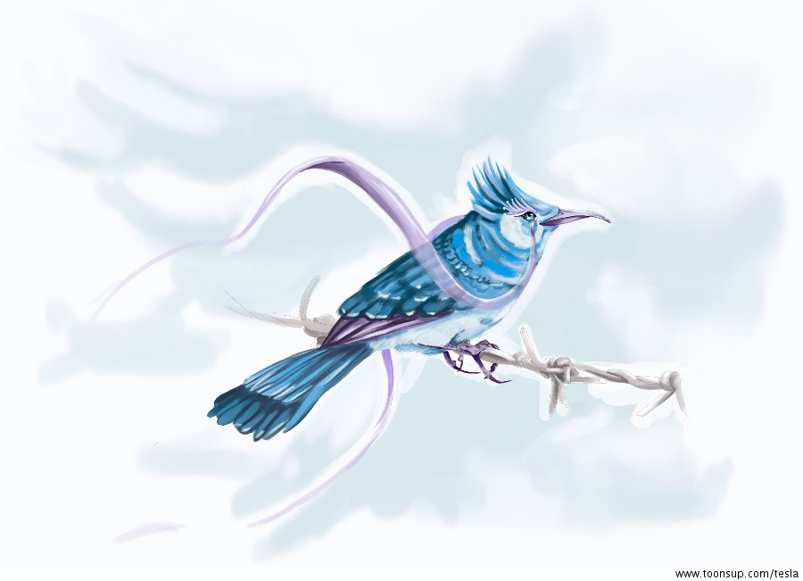 Illustration: Drahtvogel 1