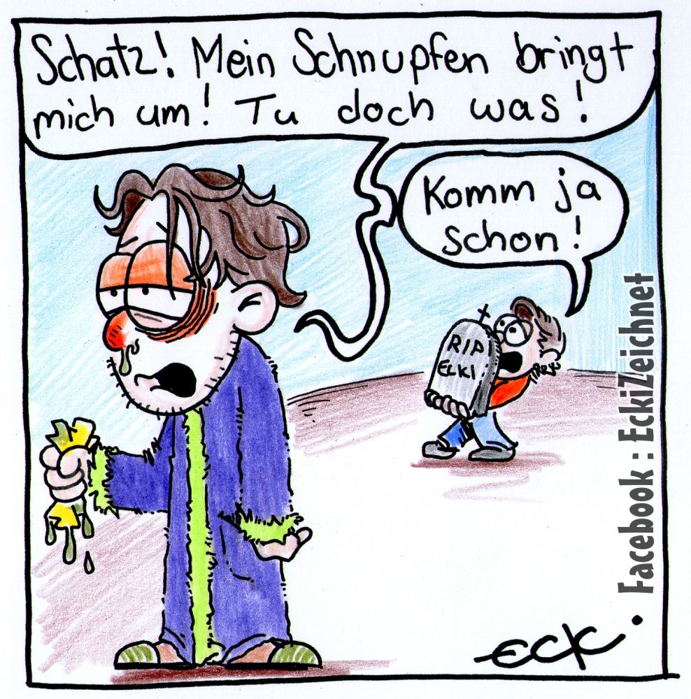 Cartoon: SCHNUPFENzeit 1