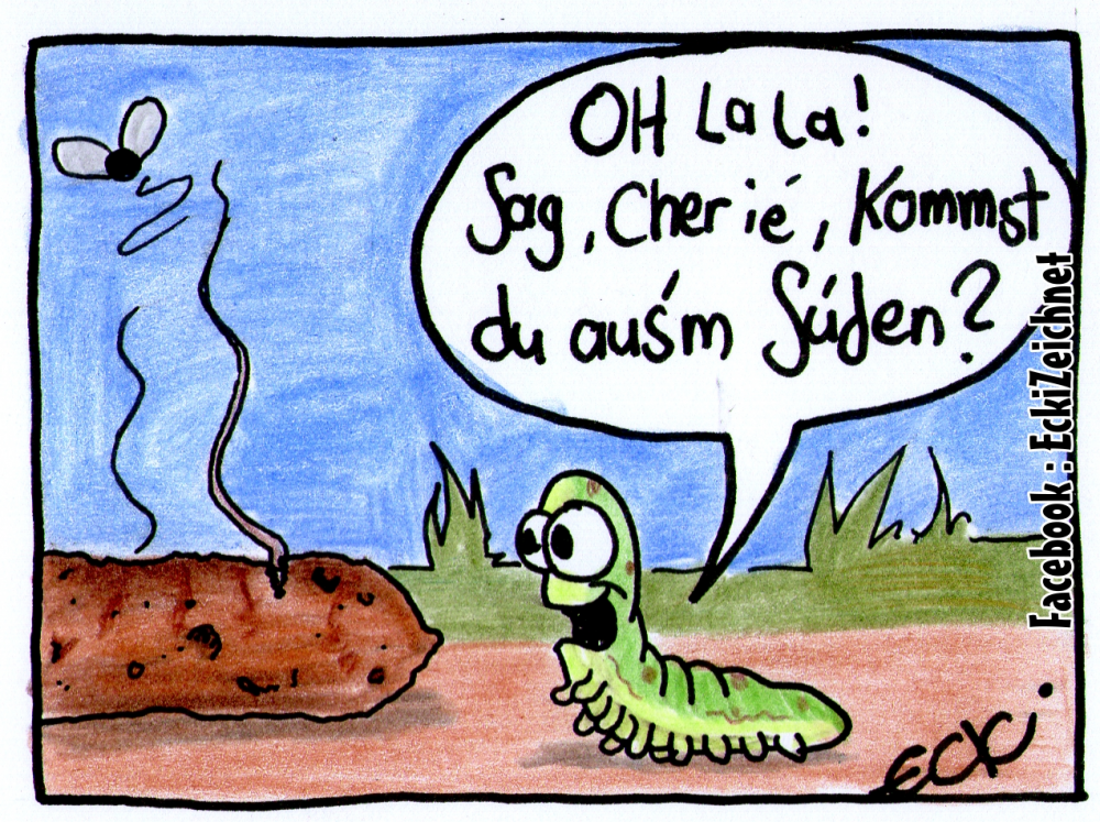 Cartoon: Süden 1