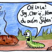 Süden