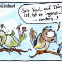 Dünger