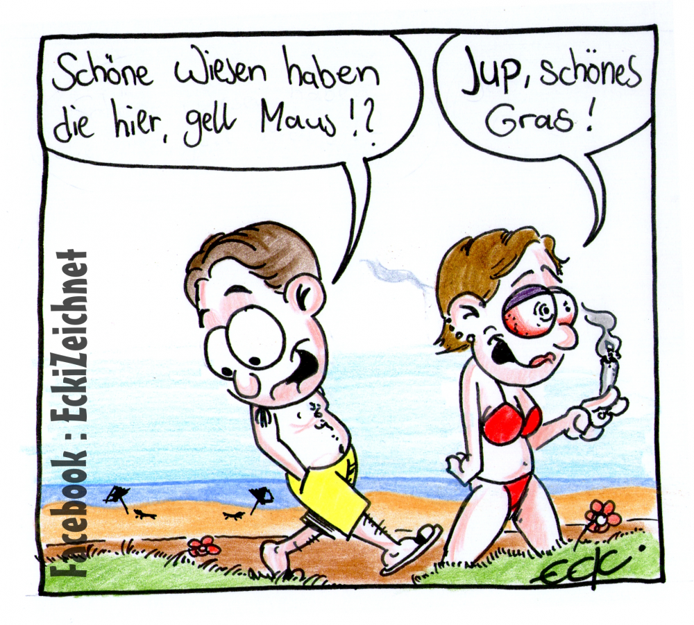 Cartoon: WIESEN 1