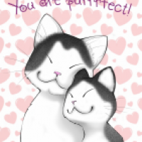 You are purrrfect