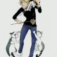 Katzenkratzer