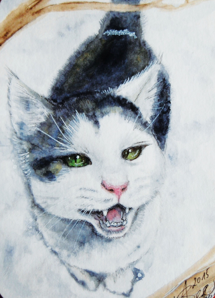Other: Findus im Schnee 1