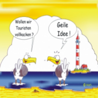 Möwe Emma & Konsorten
