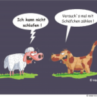 VOLL SCHAAF