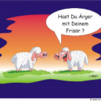 VOLL SCHAAF