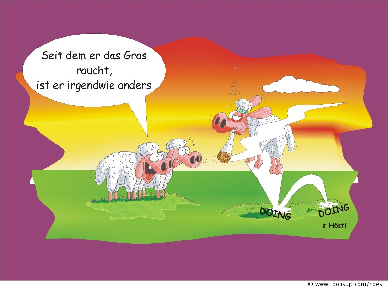 Cartoon: VOLL SCHAAF 1