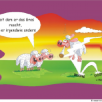 VOLL SCHAAF