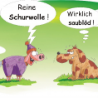 VOLL SCHAAF