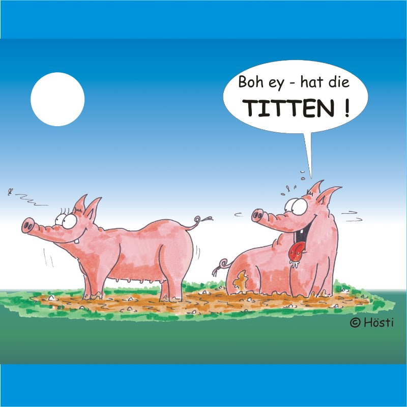 Cartoon: Hösti`s Schweinereien 1