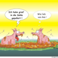 Hösti`s Schweinereien