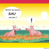 Hösti`s Schweinereien
