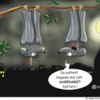 Augenblicke