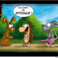 Spitzmaus