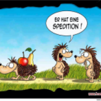 Spedition