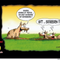 Erdbeeren