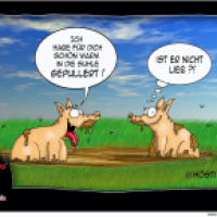 Gepullert
