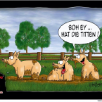 Boh ey ...