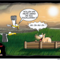 Sau rauslassen 1