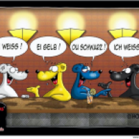 Internationale Kommunikation