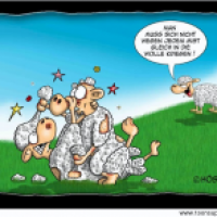 in die Wolle kriegen