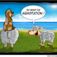 Mähditation