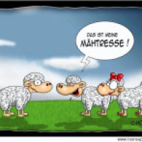 Mähtresse