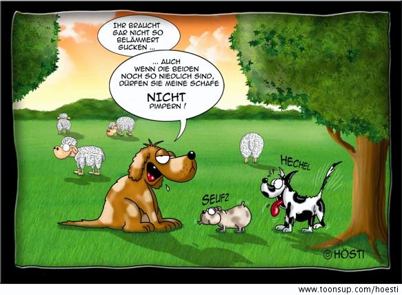 Cartoon: Nicht pimpern 1