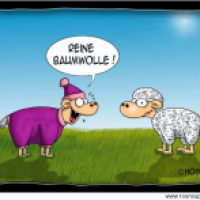 Reine Baumwolle