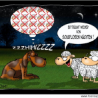Schaflose Nächte