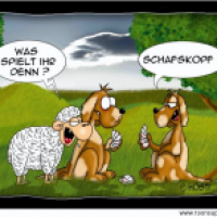 Schafskopf